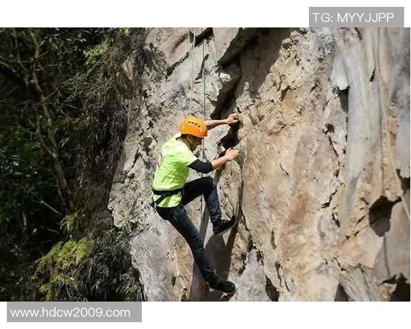 杨伟独家分享排球心得与技巧助你提升竞技水平与团队配合能力 杨伟独家分享排球心得与技巧助你提升竞技水平与团队配合能力